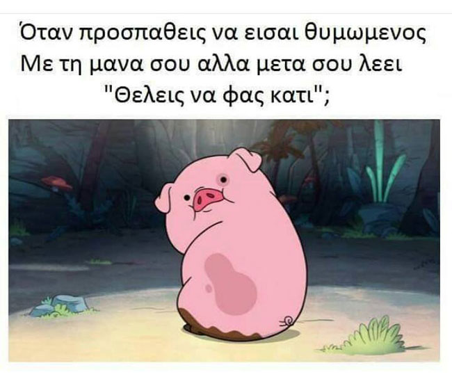 13731569_561285507387492_5169807428889007421_n