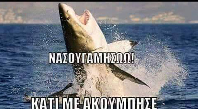 13902690_1554264127951353_7146425912678911711_n