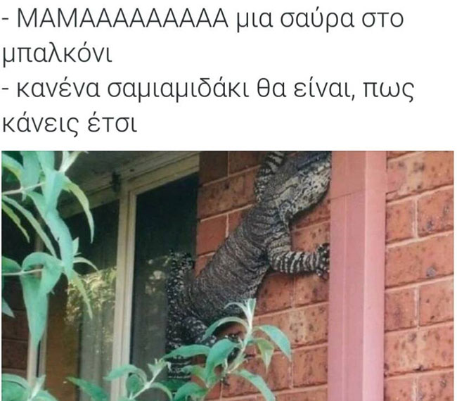 13903196_567316193451090_3988338179339937415_n