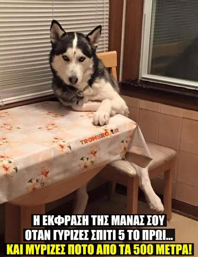 13925399_10154264096395446_6873322498972409248_n